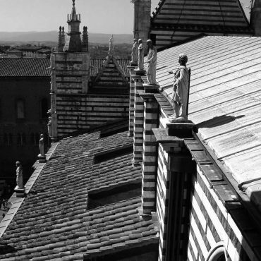 Copertura del Duomo di Siena